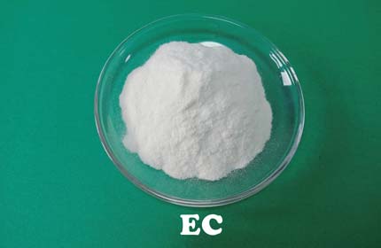 Ethyl Cellulose (EC)