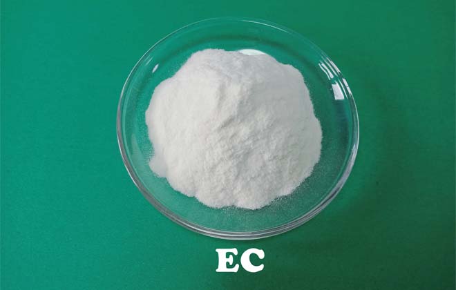 Ethyl Cellulose (EC)