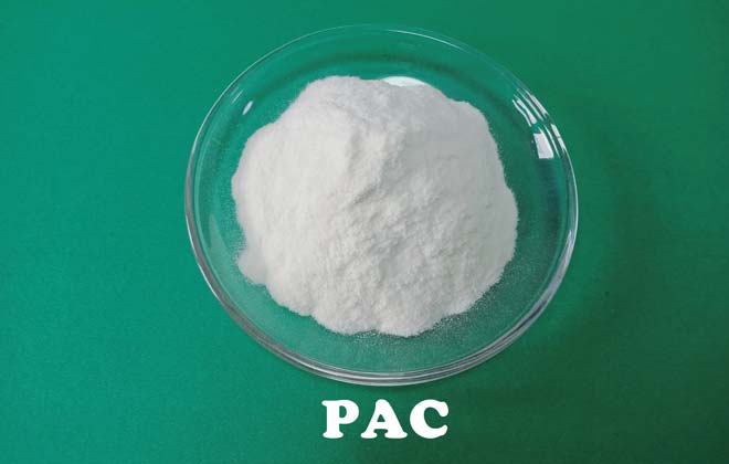 Polyanionic Cellulose (PAC)