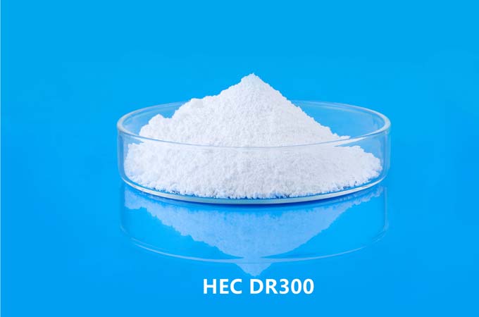 HEC DR300